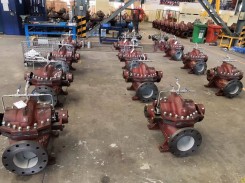 不锈钢蝴蝶逼视频